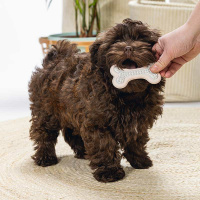 Beeztees Welpe Dental Knochen Kauspielzeug für die Zähne rosa