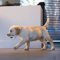 Beeztees Welpe Dental Knochen Kauspielzeug für die Zähne rosa