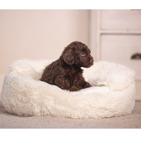 Beeztees Welpe Welpenbett KIKI  für deinen Welpen