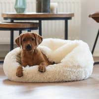 Beeztees Welpe Welpenbett KIKI  für deinen Welpen creme beige