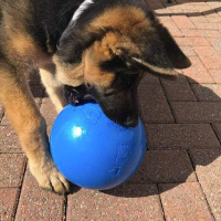 BOOMER BALL Treibball für aktive Hunde rot M