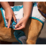 Non-stop dogwear Hundekühlweste Cooling Vest
