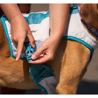 Non-stop dogwear Hundekühlweste Cooling Vest light gray-teal XS