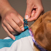 Non-stop dogwear Hundekühlweste Cooling Vest light gray-teal M