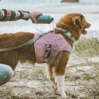 Hurtta Cooling Wrap Kühlweste für Hunde carnation-pink 40-50cm