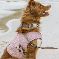Hurtta Cooling Wrap Kühlweste für Hunde carnation-pink 75-85cm