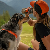 Non-stop dogwear NS Softflask Trinkflasche 500ml grau