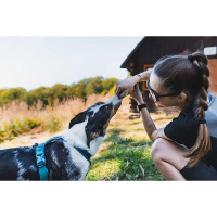 Non-stop dogwear NS Softflask Trinkflasche 500ml grau