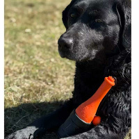 Dog Comets Bobber schwimmende Flasche Leuchtturm Orange