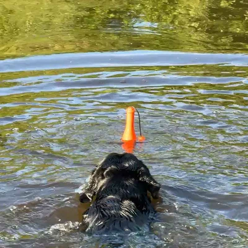 Dog Comets Bobber schwimmende Flasche Leuchtturm Rosa