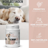 REAVET Darm Prebiotic aus Liebe zur Darmflora für Hunde 150g