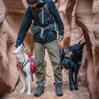 K9 Sport Sack Rucksack Hunderucksack Air 2