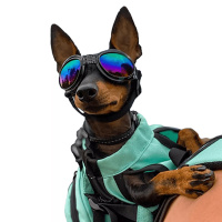 K9 Sport Shades Sonnenbrille stylischer Augenschutz für deinen Hund schwarz