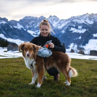 Non-stop dogwear Light Dog Backpack Hunderucksack grau-schwarz S