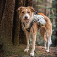 Non-stop dogwear Light Dog Backpack Hunderucksack grau-schwarz L