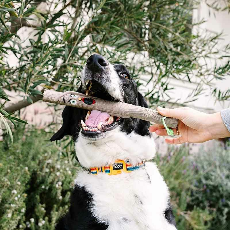 DOOG Family Stick – Apportierstock Stock NEUE Ausführung