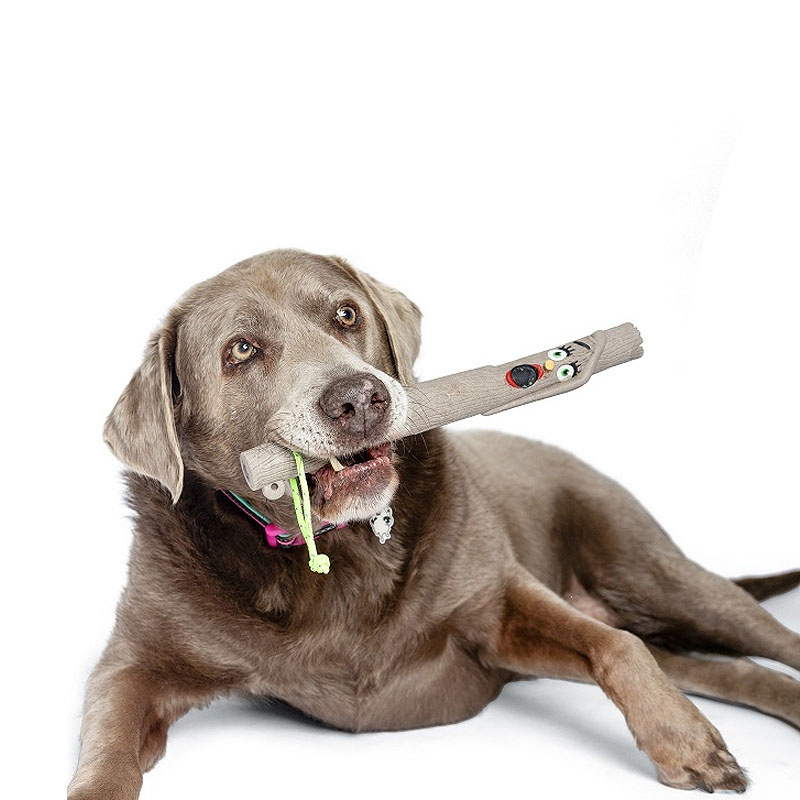 DOOG Family Stick – Apportierstock Stock NEUE Ausführung
