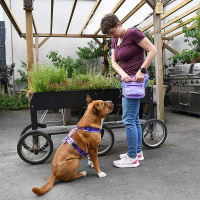 Anny-X Hüfttasche Seitentasche Sidebag 2.0 lavendel