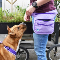 Anny-X Hüfttasche Seitentasche Sidebag 2.0 lavendel