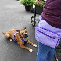 Anny-X Hüfttasche Seitentasche Sidebag 2.0 lavendel