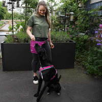 Anny-X Hüfttasche Seitentasche Sidebag 2.0 sonnenhut