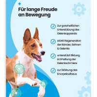 PAWSAN Darm Wohl Darmwohl