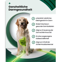 PAWSAN Darm Wohl Darmwohl