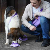 AnnyX Loops für dein Equipment