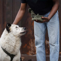 AnnyX Loops für dein Equipment