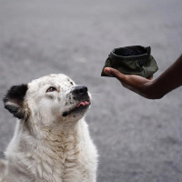 AnnyX Loops für dein Equipment