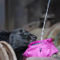 AnnyX Loops für dein Equipment