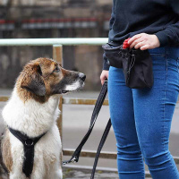 AnnyX Cord pouch Beutel für dein Equipment schwarz