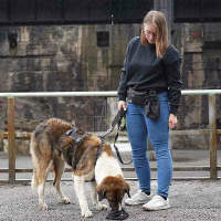 AnnyX Cord pouch Beutel für dein Equipment schwarz