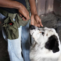 AnnyX Cord pouch Beutel für dein Equipment oliv