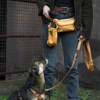 AnnyX Cord pouch Beutel für dein Equipment goldglöckchen