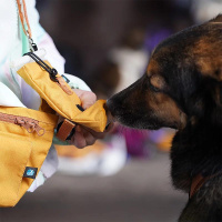 AnnyX Tubeholder Tasche für die Futtertube