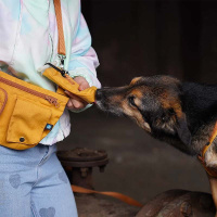 AnnyX Tubeholder Tasche für die Futtertube goldglöckchen