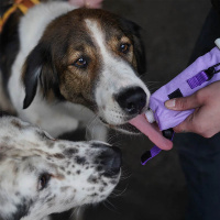 AnnyX Tubeholder Tasche für die Futtertube lavendel