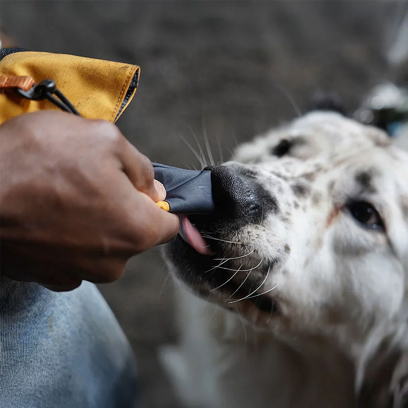 AnnyX Splashbag Tube für die Belohnung