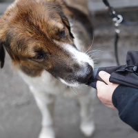 AnnyX Splashbag Tube für die Belohnung schwarz