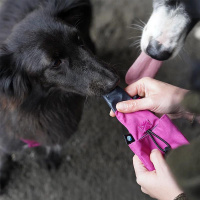 AnnyX Splashbag Tube für die Belohnung sonnenhut