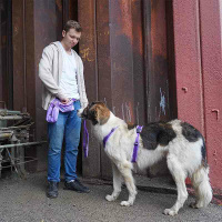 AnnyX Snackbag Tasche für die Leckerlies lavendel
