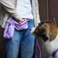 AnnyX Snackbag Tasche für die Leckerlies lavendel