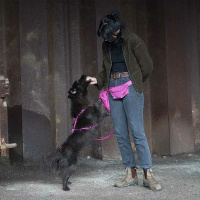 AnnyX Snackbag Tasche für die Leckerlies sonnenhut