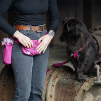 AnnyX Snackbag Tasche für die Leckerlies sonnenhut