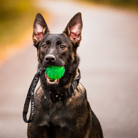 RUKKA Pets Apportierspielzeug Gel Ball