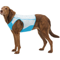 Ruffwear Kühlweste Swamp Cooler Zip Vest Biolumin Blue-blau XXS