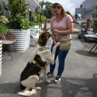 Anny-X Hüfttasche Seitentasche Sidebag 2.0 schneeball