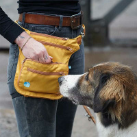 Anny-X Hüfttasche Seitentasche Sidebag 2.0 goldglöckchen