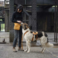 Anny-X Hüfttasche Seitentasche Sidebag 2.0 goldglöckchen